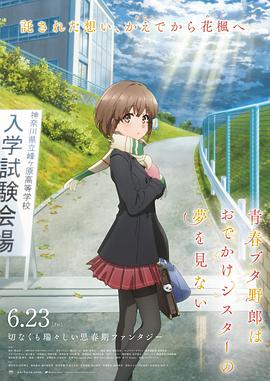 完结高清影视