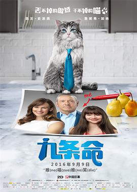完结完整版观看