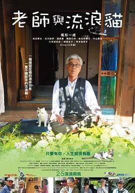 全集免费观看超清