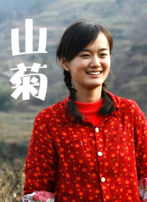 蓝光原盘在线观看