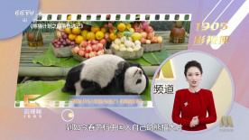 1080HD高清在线观看