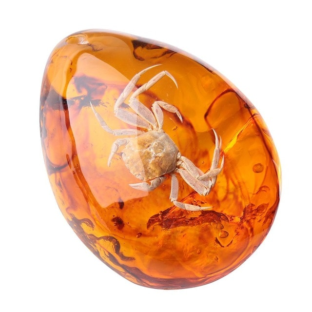 Amber Overview