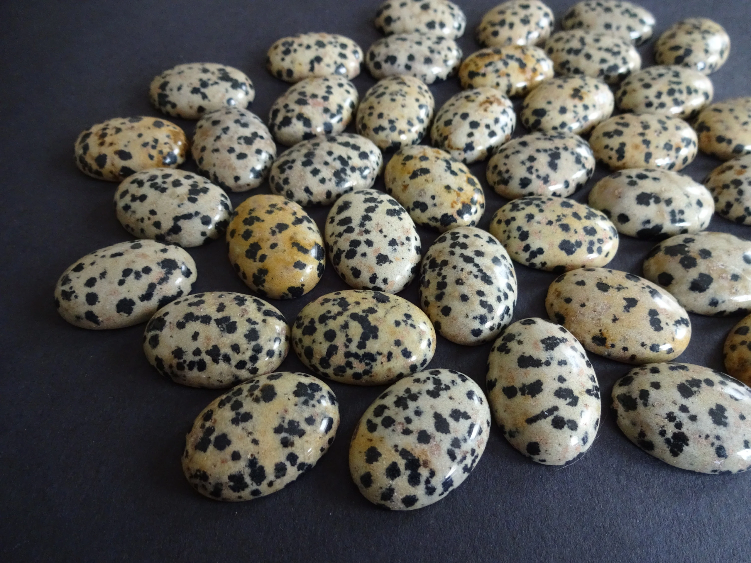 Leopardskin Jasper